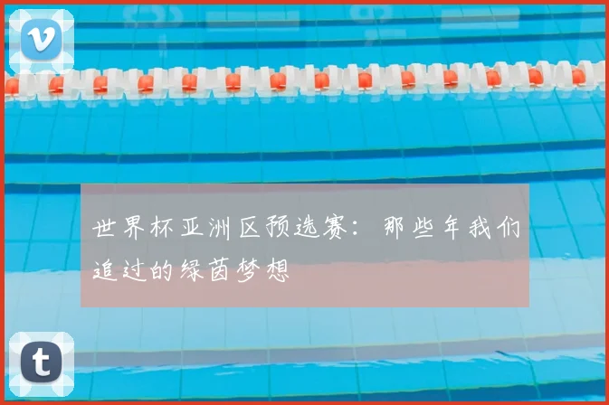 世界杯亚洲区预选赛:那些年我们追过的绿茵梦想