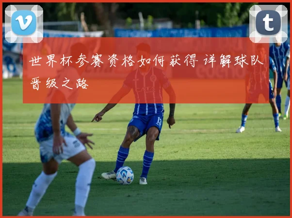 世界杯参赛资格如何获得 详解球队晋级之路