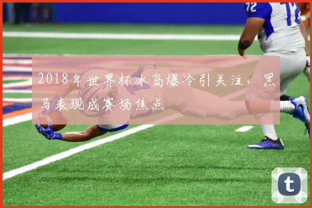 2018年世界杯冰岛爆冷引关注,黑马表现成赛场焦点