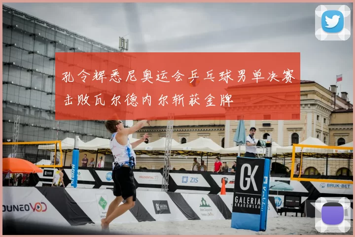 孔令辉悉尼奥运会乒乓球男单决赛击败瓦尔德内尔斩获金牌