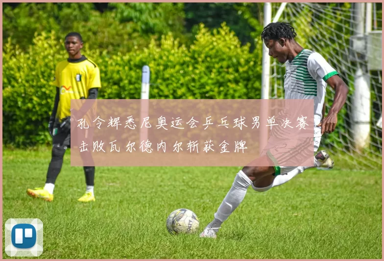 孔令辉悉尼奥运会乒乓球男单决赛击败瓦尔德内尔斩获金牌